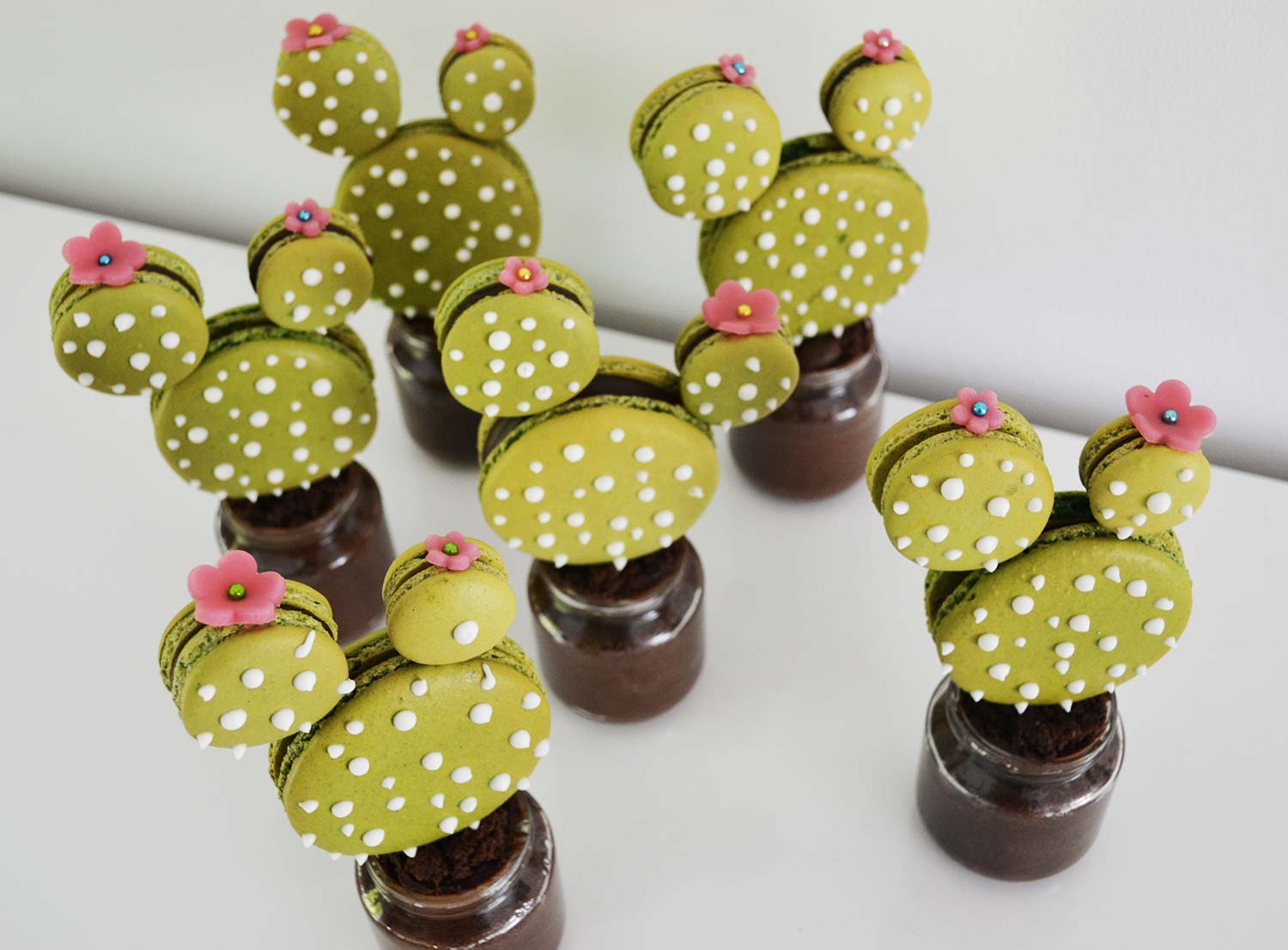 Macarons cactus chocolat - Sofia Beau